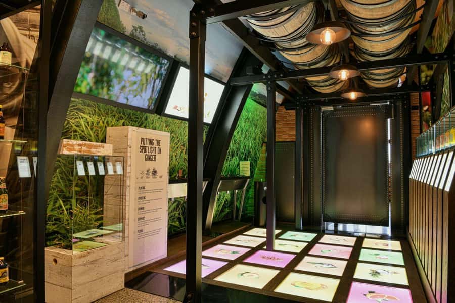 Bundaberg: Brew Tasting and Self-Guided Gallery Tour - Who This Experience Suits Best (and Who Might Find It Too Short)