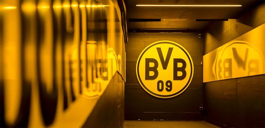 BVB Signal Iduna Park: Stadium Access and Self-Guided Tour - Key highlights you’ll care about