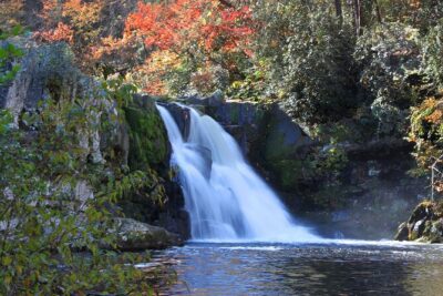 Cades Cove Sightseeing Self-Guided Driving Audio Tour - Price and Value: Paying for Stories, Not Just a Drive