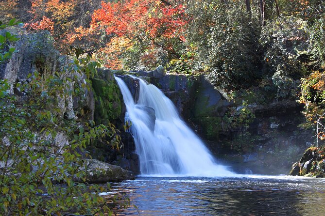 Cades Cove Sightseeing Self-Guided Driving Audio Tour - Price and Value: Paying for Stories, Not Just a Drive