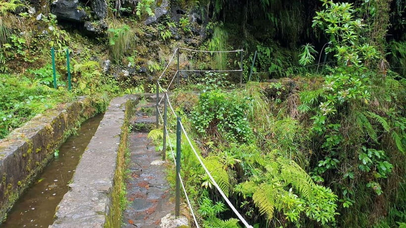 Caldeirão Verde: Queimadas PR9 Transfer and Self-Guided Hike - Who should book (and who should skip it)