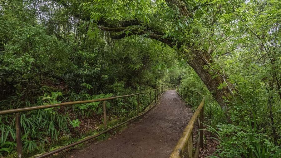 Caldeirão Verde: Queimadas PR9 Transfer and Self-Guided Hike - Queimadas Natural Park: what you’re really signing up for