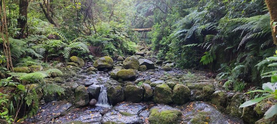 Caldeirão Verde: Queimadas PR9 Transfer and Self-Guided Hike - Price and value: is $38 worth it?