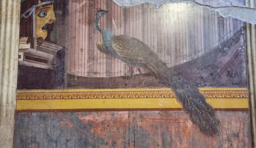 Campania: Pompei+Herculaneum+Vesuvius audio guide - Vesuvius: outdoor audio with geo-localized guidance