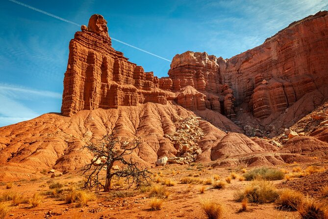 Capitol Reef National Park Self-Guided Driving Audio Tour - Danish Hill and Ferns Nipple: The Best “Stop and Gawk” Mix