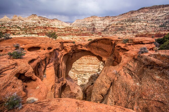 Capitol Reef National Park Self-Guided Driving Audio Tour - Capitol Gorge, Hickman Bridge, and Grand Wash Slot Canyons