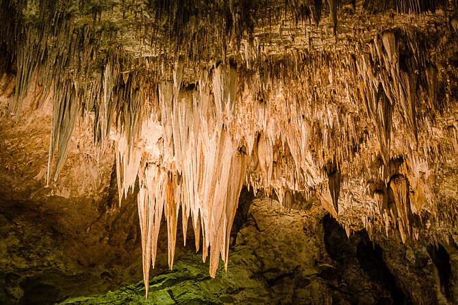 Carlsbad Caverns Self-Guided Walking Tour (Not a ticket) - Key points before you go