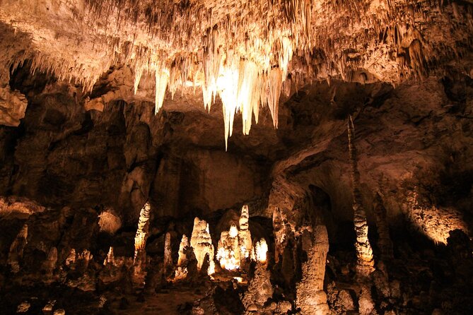 Carlsbad Caverns Self-Guided Walking Tour (Not a ticket) - App setup: the password step that people can trip over