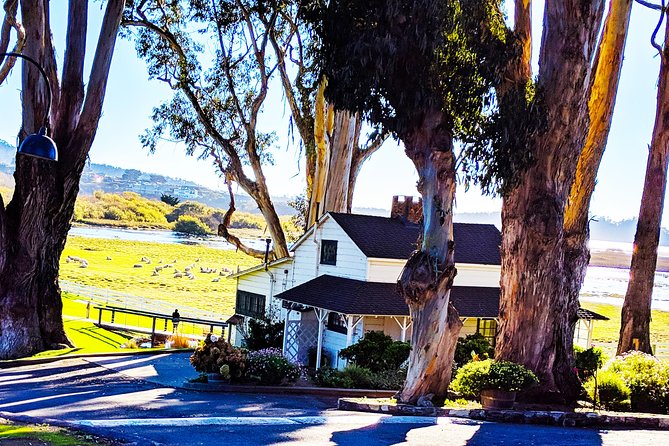 Carmel by the Sea: A Self-Guided Driving Audio Tour - Driving Reality Check: Narrow Roads, Neighborhood Detours, and Staying Present