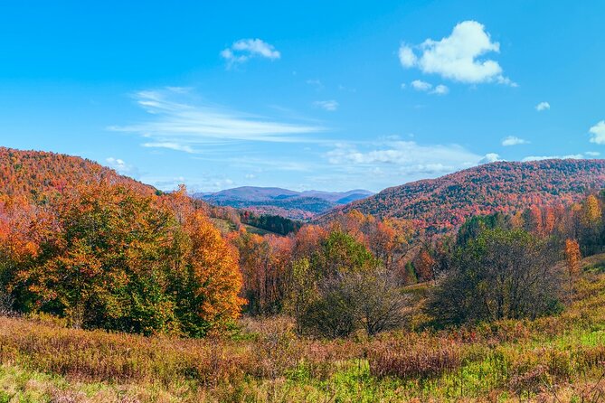 Catskills Scenic Byway Self-Guided Driving Audio Tour - Food stops that can shape your timing: Phoenicia Diner and Bread Alone Bakery
