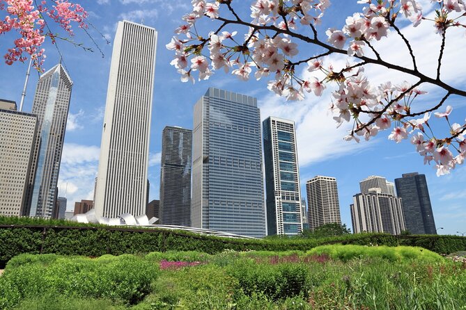 Chicago Millennium Park Self-Guided Walking Tour - Getting the app set up: how to make sure it works offline