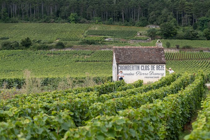 Citroën 2CV Bourgogne rental • Self-guided getaway - What’s included, what’s not, and the small details that matter