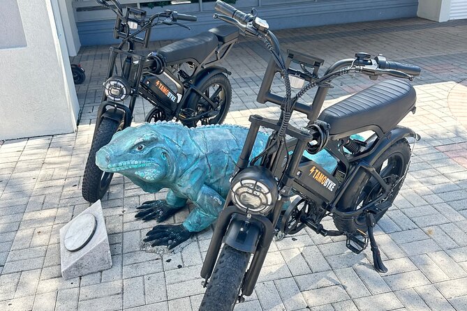 Coastal E-Bike Adventure: Full-Day Self-Guided Tour Grand Cayman - Key Highlights You’ll Feel Right Away