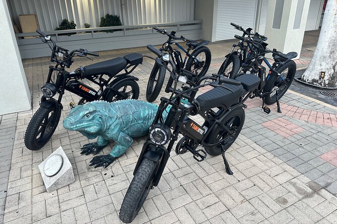 Coastal E-Bike Adventure: Full-Day Self-Guided Tour Grand Cayman - Tortuga Rum Cake Factory: The Taste-and-Souvenir Finale