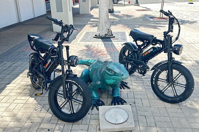 Coastal E-Bike Adventure: Full-Day Self-Guided Tour Grand Cayman - Price and Bike Value: $30 That’s Really About Time Saved
