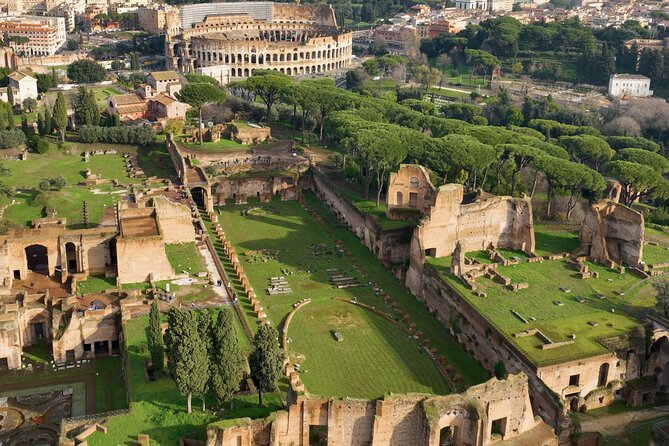 Colosseum,Arena,Palatine Hill & Roman Forum with Audio Guide App - Palatine Hill: Imperial Power on a Hill You Actually Walk