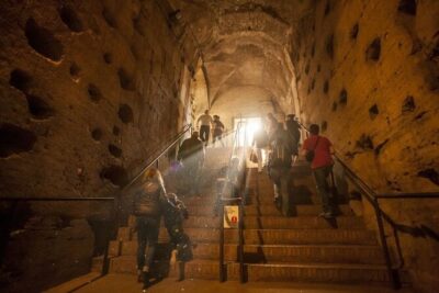 Colosseum Arena & Roman Forum,Palatine Access With Audio Guide - Meeting Point and Entry Timing: Where Days Go Right or Wrong