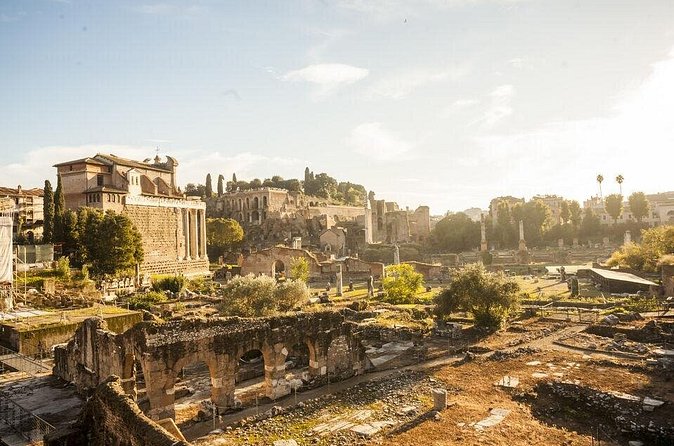 Colosseum Arena & Roman Forum,Palatine Access With Audio Guide - The Audio Guide App: Best Case Setup and Common Friction