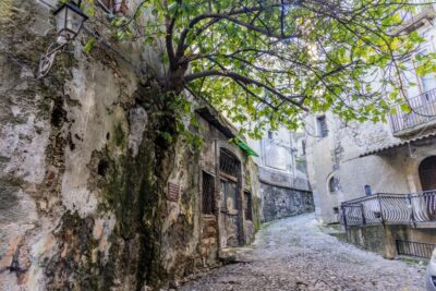 Cosenza: Audio Guide of the Historic Center - Getting the Itguides Audio Ready (Code, App, and Quick Prep)