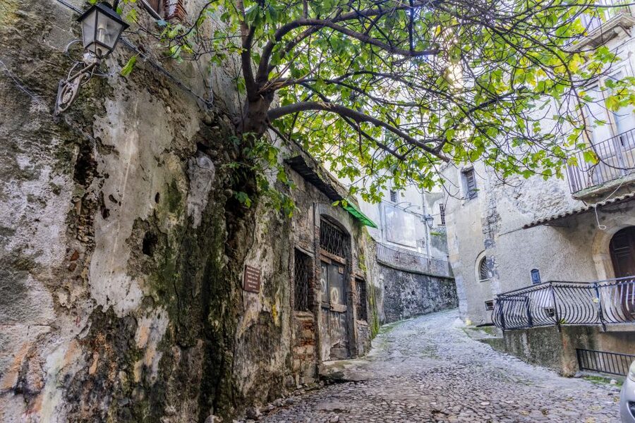 Cosenza: Audio Guide of the Historic Center - Getting the Itguides Audio Ready (Code, App, and Quick Prep)