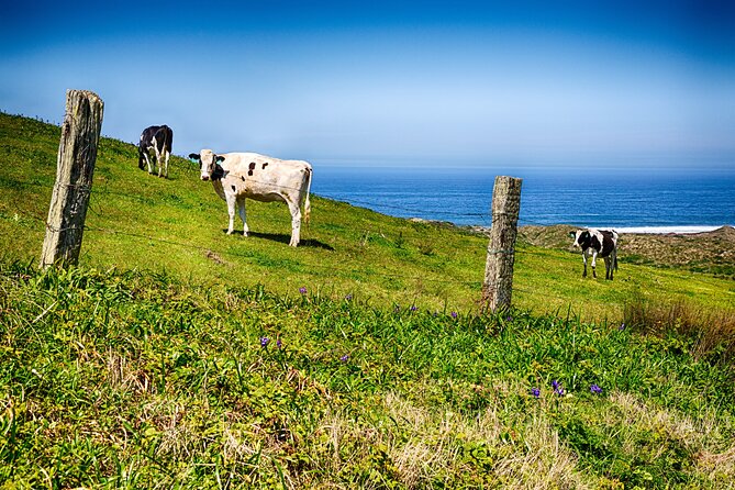 Cow Heaven: An Agricultural Self-Guided Driving Tour - Key Highlights to Know Before You Drive