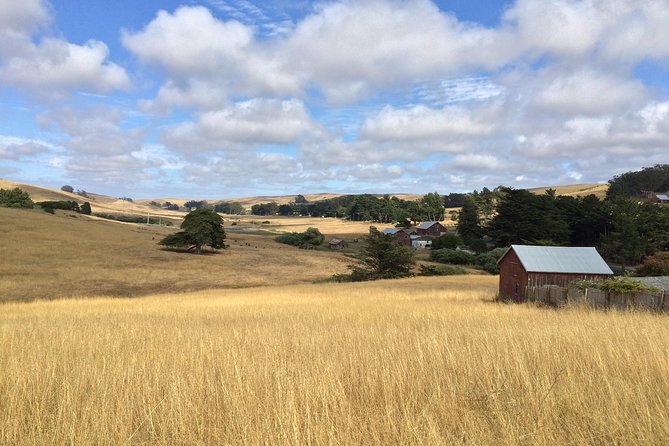 Cow Heaven: An Agricultural Self-Guided Driving Tour - Price and Value: $8.99 for a Whole Carload Mindset