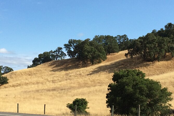 Cow Heaven: An Agricultural Self-Guided Driving Tour - Rolling Through Point Reyes Station: Where the Route Turns Human