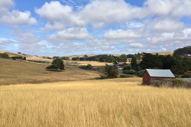 Cow Heaven: An Agricultural Self-Guided Driving Tour - Ending in Tomales: Tomales Bay Views and the Small-Town Web