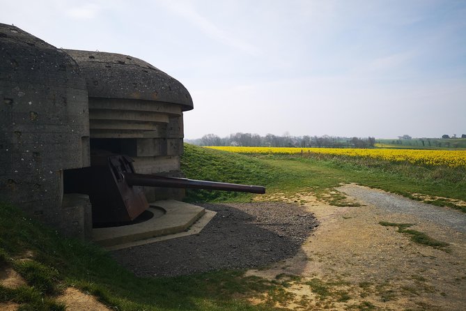 D-Day private tour Omaha + Utah Beach from Caen with audio guide - Omaha Beach and the American Cemetery: The Weight of Bloody Omaha