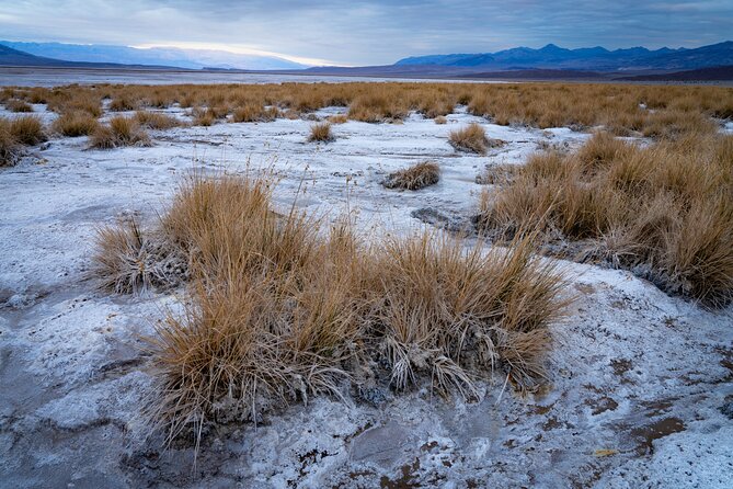 Death Valley National Park Self-Guided Audio Driving Tour - Stop-by-Stop: Death Valley Junction to Borax