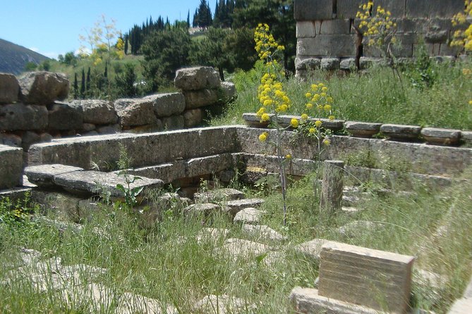 Delphi Self-guided Audio Tour on Your Phone (no ticket) - Museum Time: Tickets Aren’t Included, and That Changes Your Budget