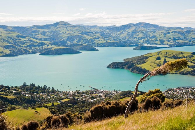 Discover Akaroa: Self Guided Audio Tour - Key things to know before you go