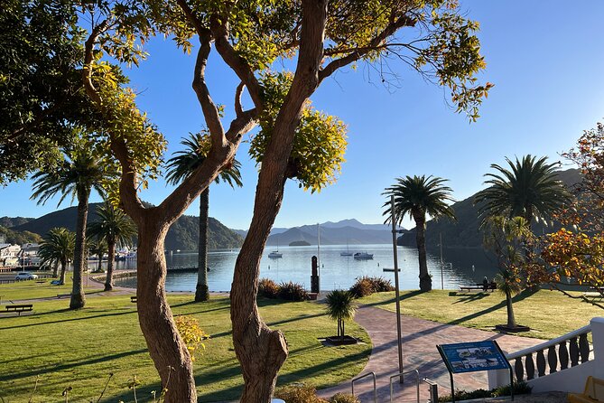 Discover Picton: Self-Guided Audio Tour - Stop 3: War Memorial Arch and Picton’s Foreshore Remembrance