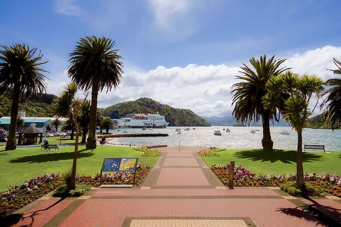 Discover Picton: Self-Guided Audio Tour - Māori Past Meets the Waterfront: What the Narration Adds