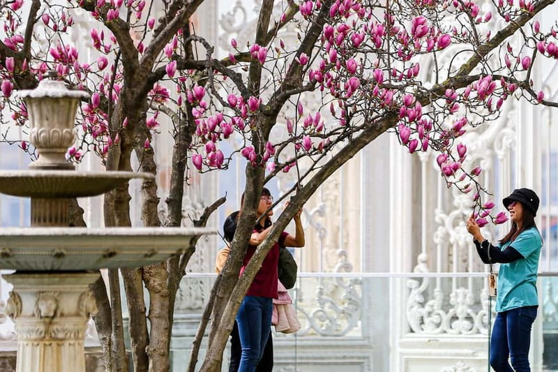 Dolmabahce Palace & Harem Fast-Track Entry with Audio Guide - Audio guide device: how to use it so you actually learn