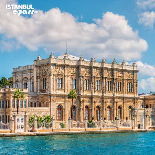Dolmabahce Palace & Harem Skip-the-Line Entry & Audio Guide - No-Guide Entry: You’re in Charge Once You Arrive