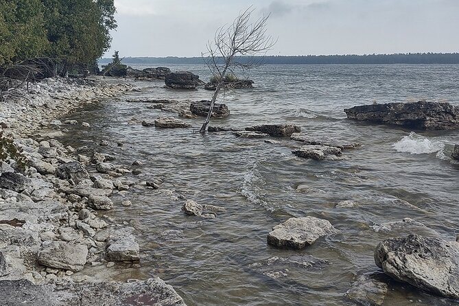Door County’s Northern Peninsula: A Self-Guided Drive - Al Johnson’s Swedish Restaurant & Butik and the famous goats