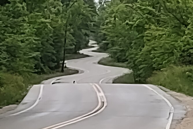 Door County’s Northern Peninsula: A Self-Guided Drive - Ellison Bluff State Natural Area: dramatic limestone cliffs above Green Bay
