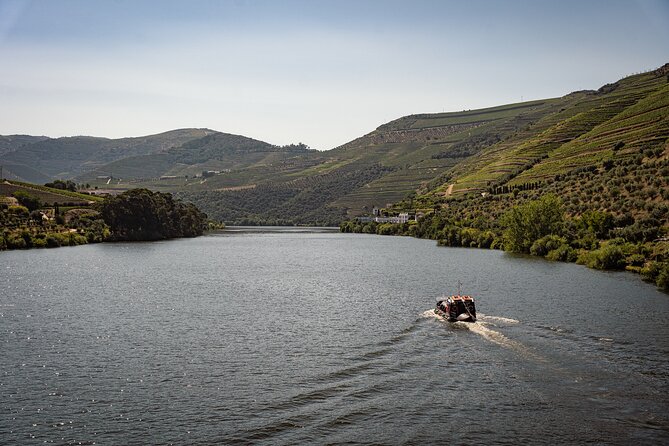 Douro Valley: Rabelo Boat Tour with Port Wine & Audio Guide - Key Highlights You’ll Actually Care About