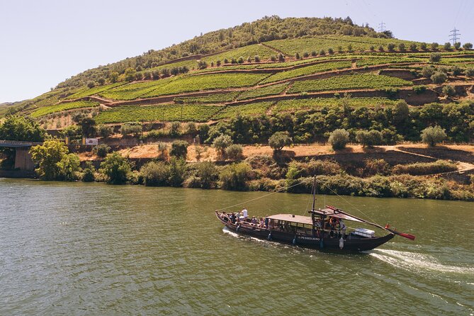 Douro Valley: Rabelo Boat Tour with Port Wine & Audio Guide - Onboard Comfort and Vibe: Staff, Pets, and Bathroom Reality