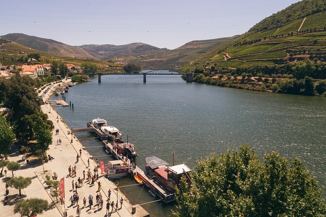 Douro Valley: Rabelo Boat Tour with Port Wine & Audio Guide - Who This Cruise Fits Best (and Who Might Feel It’s Too Long)