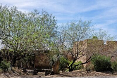 Downtown Tucson: An Audio Tour by an Author and Historian - Adobe row houses and Casa de Cordova: Tucson domestic life in plain sight