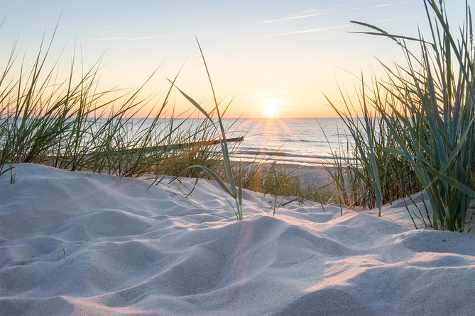 Drive it yourself electric Dune and Beach GPS audio tour - Vrijstaat Nederzandt: beach club vibes and a coffee reset
