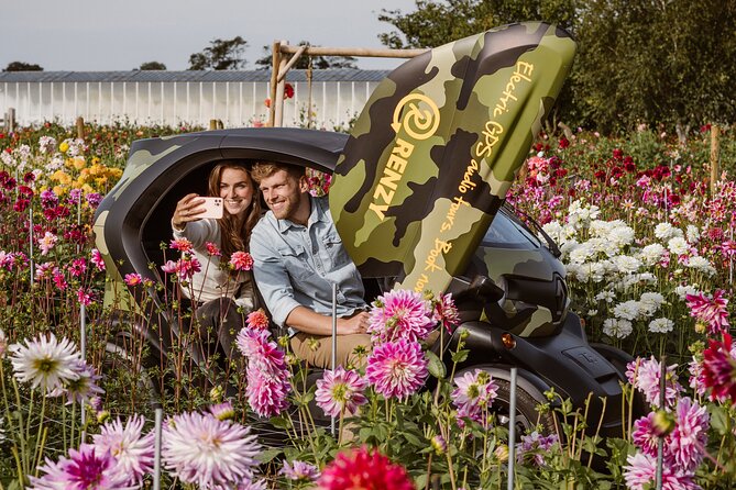 Drive it yourself electric Dune & Summer Flower GPS audio tour - The Fixed GPS Route: Less Stress, More Sightseeing