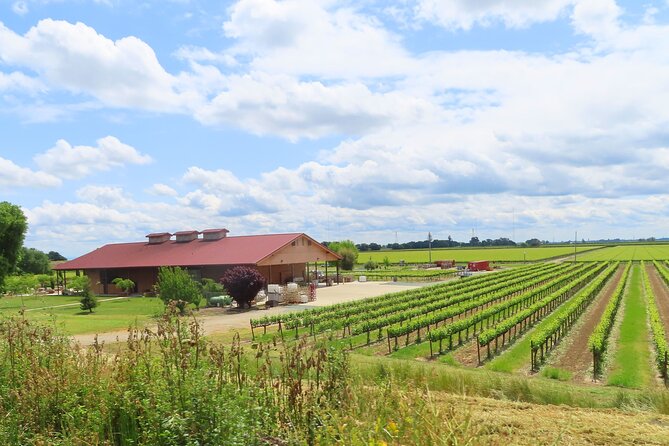 Driving in Delta’s Wine Country: Private Self-Guided Audio Tour - From Freeport into the Delta: why this route feels different