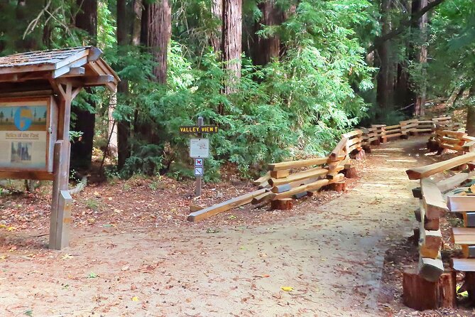 Driving the California Coast: A Self-Guided Audio Tour - Stop-by-stop: the southern Big Sur run to McWay Waterfall