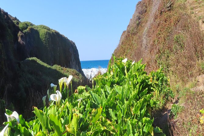 Driving the California Coast: A Self-Guided Audio Tour - Timing, driving pace, and what to expect on the road