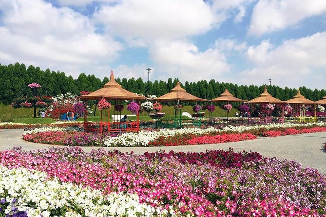 Dubai Miracle Garden Self-Guided Tour with Ticket with Transfer - Miracle Garden in Four Hours: What You’ll Be Able To See