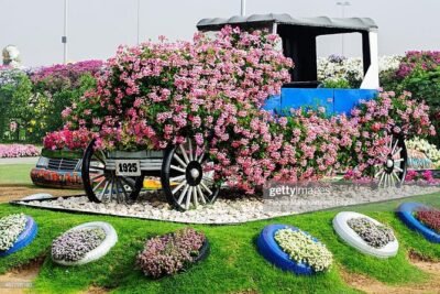 Dubai Miracle Garden Self-Guided Tour with Ticket with Transfer - The Shared Shuttle Pickup: Why It Feels Convenient (Until It Doesn’t)