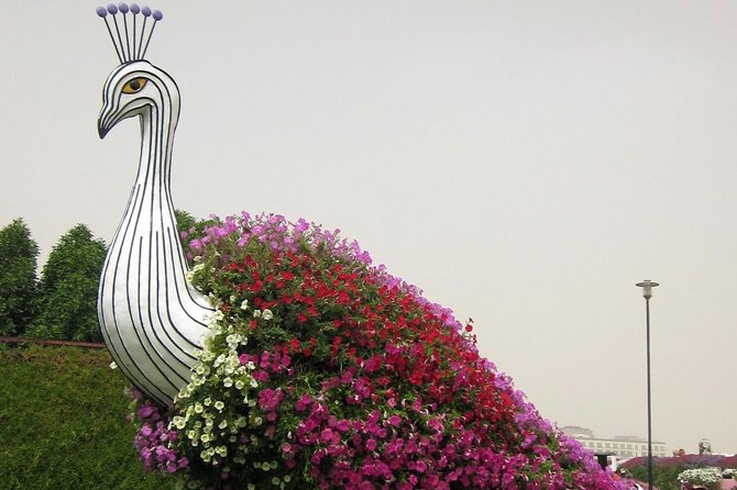 Dubai Miracle Garden Self-Guided Tour with Ticket with Transfer - Timing and Weather: How to Pick the Right Day